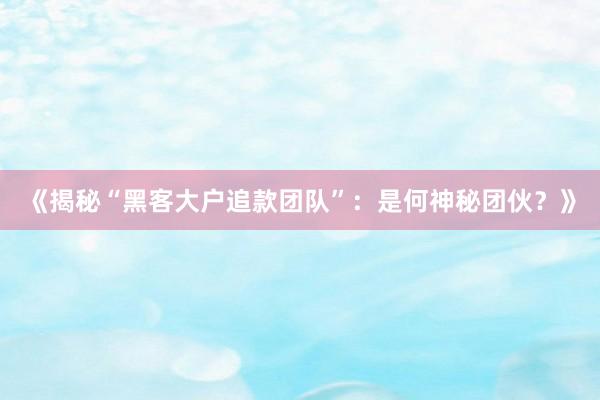 《揭秘“黑客大户追款团队”：是何神秘团伙？》
